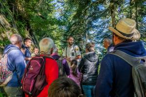 Nicolas BERNIE - STUDIO NB